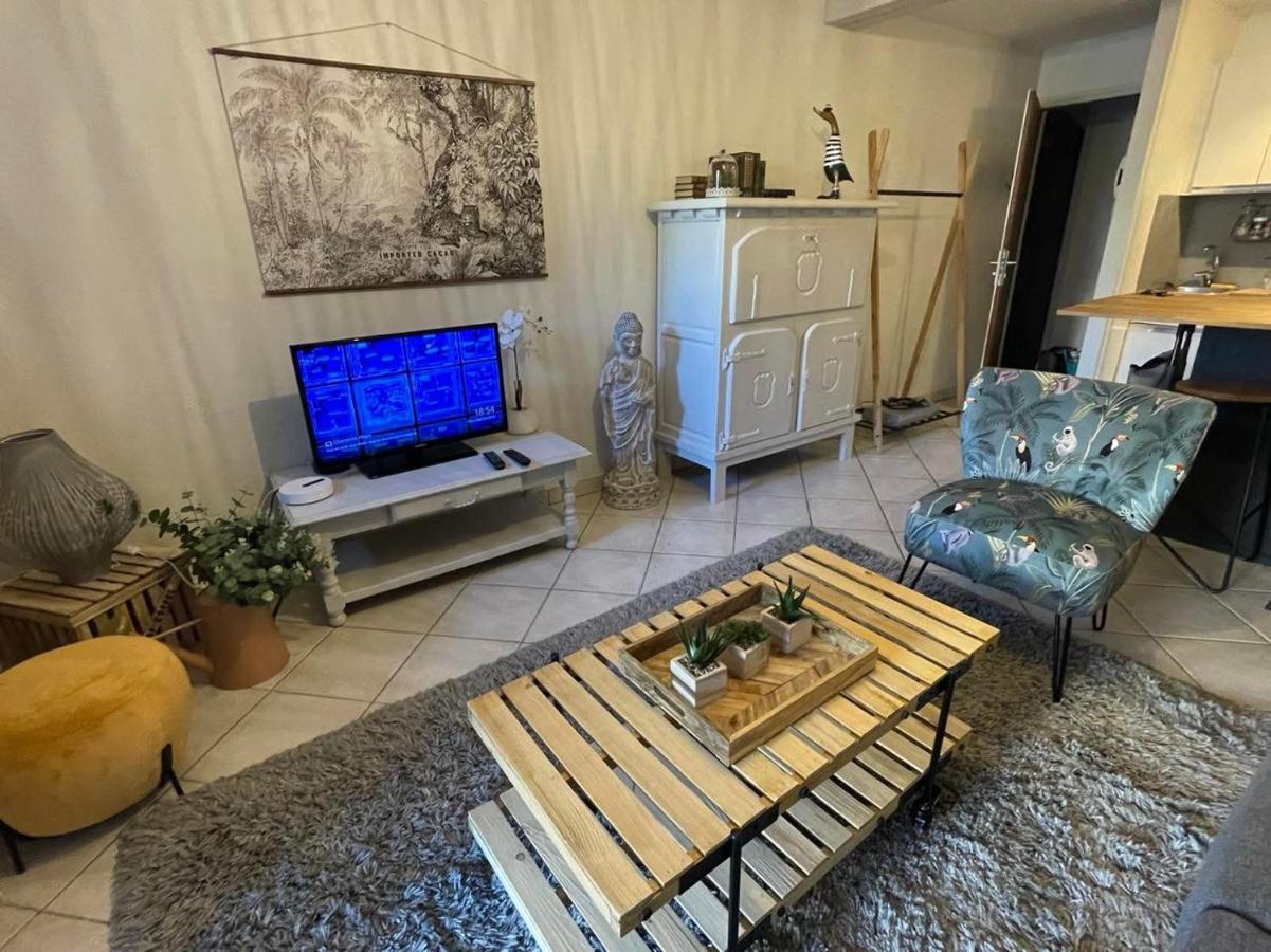 Le Patio, Coeur De Ville Avec Garage Et Jardin فان المظهر الخارجي الصورة