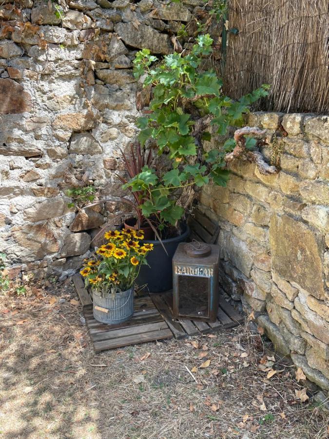 Le Patio, Coeur De Ville Avec Garage Et Jardin فان المظهر الخارجي الصورة