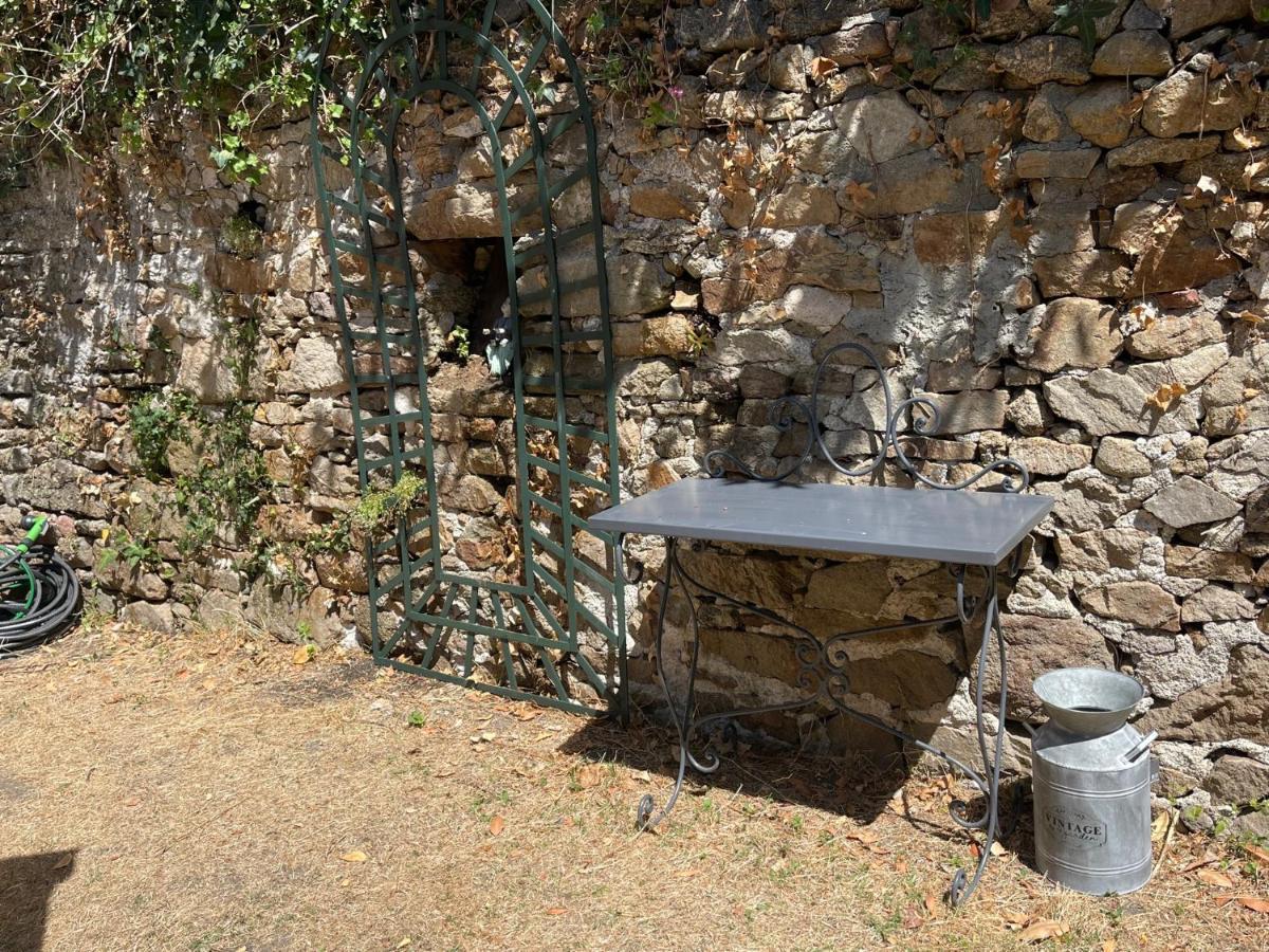 Le Patio, Coeur De Ville Avec Garage Et Jardin فان المظهر الخارجي الصورة